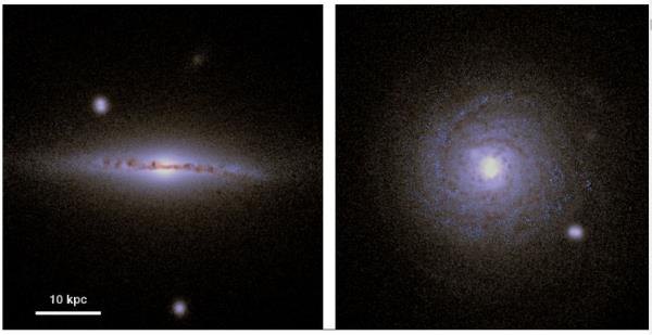 Here it is, the simulated galaxy called g15784. Two spheroidal galaxies are seen in the image, one above the galactic plane and one below. Image Credit: Gobat et al 2021.